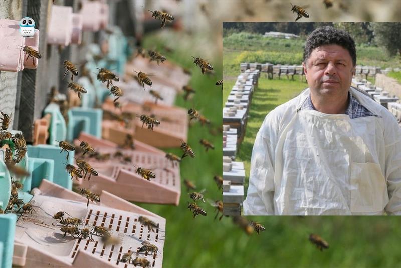 İzmir'de arıların uykusu kaçtı