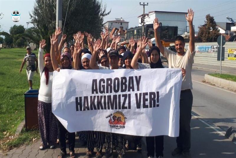 Direnişlerinin 98. gününde Agrobay işçileri çatıya çıktı!