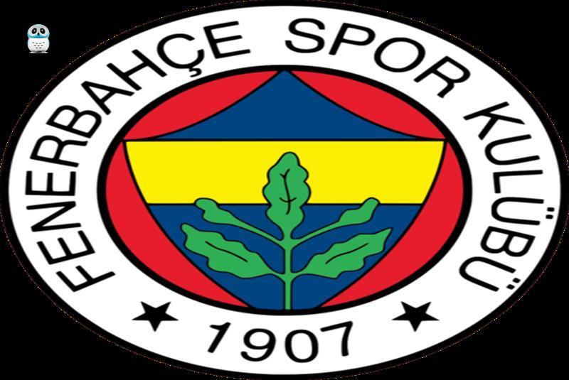 Fenerbahçe'nin sahadan çekilmesi sporun ruhunu ve fair-play ilkesini hiçe saymaktır