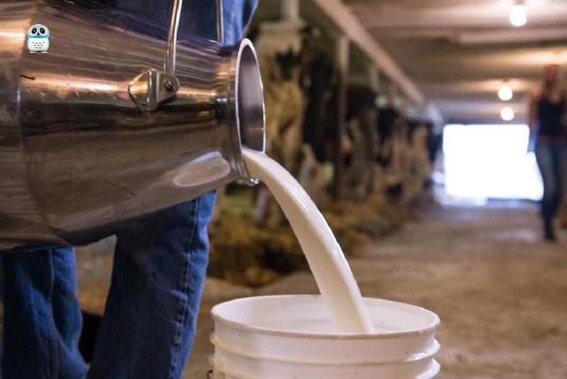 TÜİK: Çiğ süt üretimi azaldı