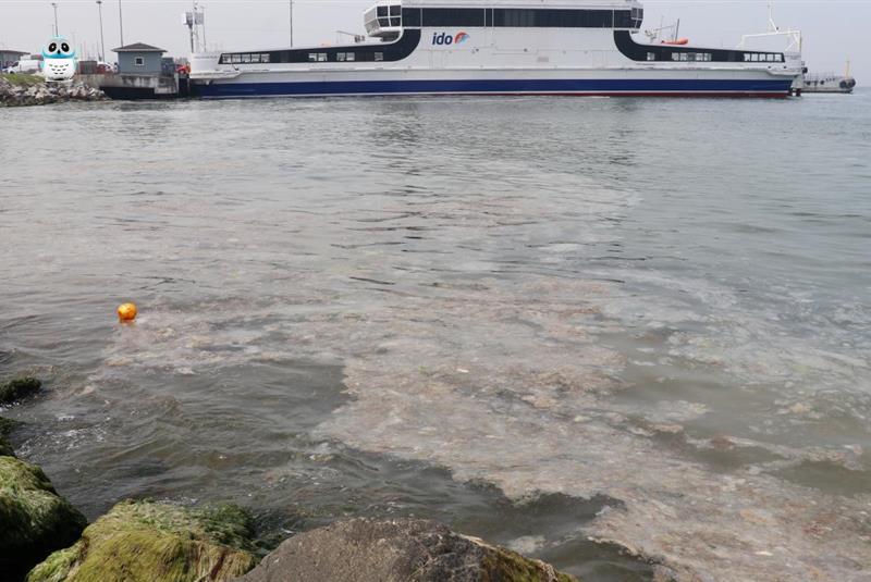 Kadıköy'de beyaz tabaka yayılıyor